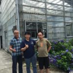 Taiwan business partner Sing Chang Koi Farm visited to Izumiya koi farm mud pond .