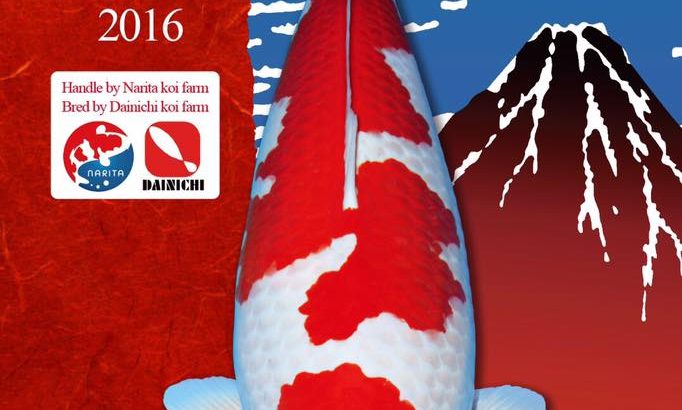 2016 All Japan Koi Show