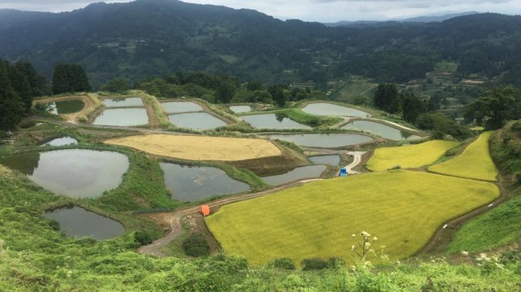 金倉山 訪問 絶景