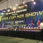 9Th Asian Cup Koi Show