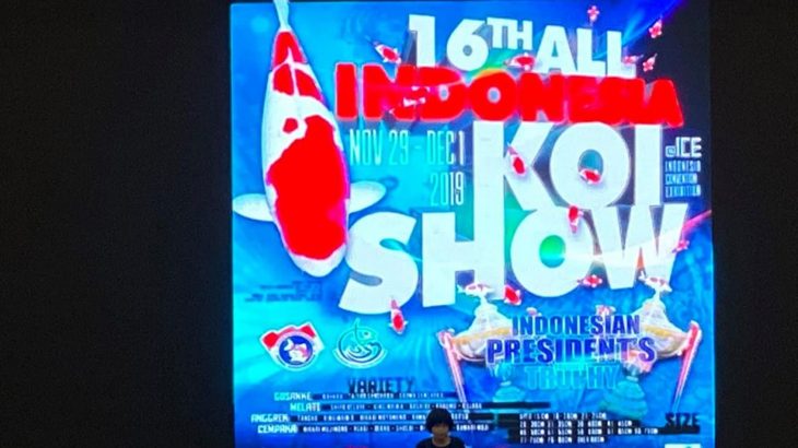 16TH All Indonesia Koi Show 2019.