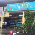 Cheras Aquarium Visit in Malaysia KL.