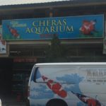 Cheras Aquarium visit.