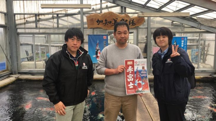 Kachi koi farm visit .