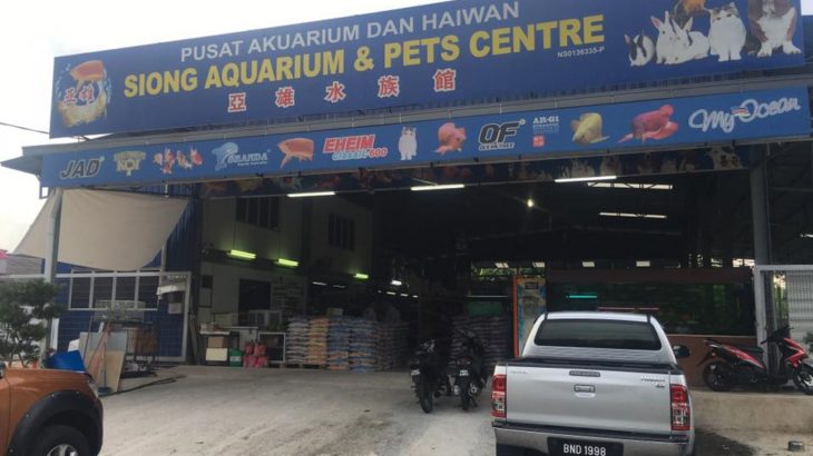 Siong Aquarium & Pets Center visit.