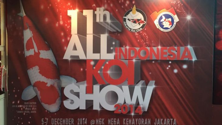 11th All Indonesia koi show