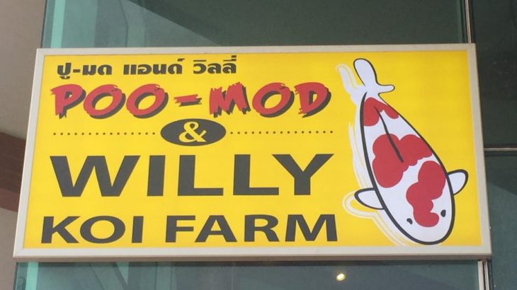 Poo-Mod and willy koi farm visit