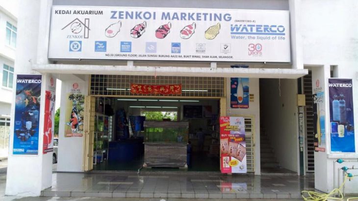 Zen Koi Marketing in Malaysia.