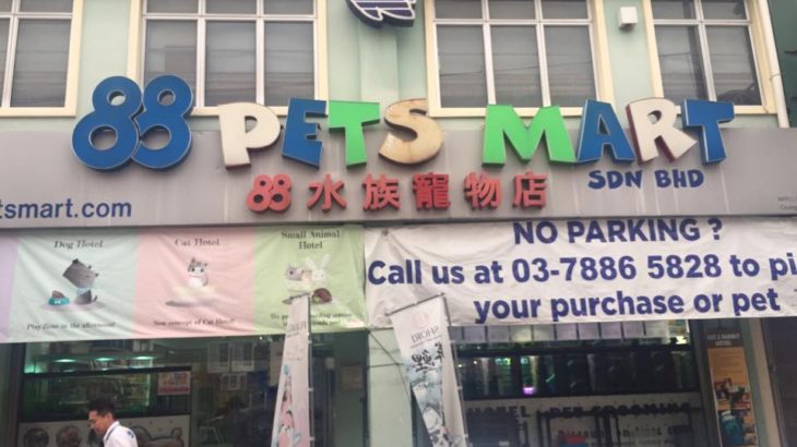 88Pets Mart visit in Malaysia.