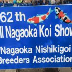 All Nagaoka koi show visit