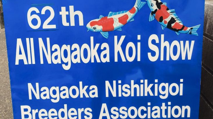 All Nagaoka koi show visit