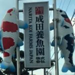 首先恭喜全日本錦鯉品評會得獎的飼主及業者們，我們JPD(日本動物藥品株式會社)非常感謝這次有許多飼主們使用JPD錦鯉飼料並獲得獎項。