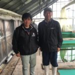 Maruya koi farm visit.