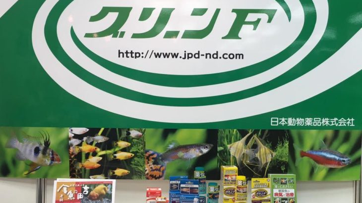 All Japan Gold fish show 2016