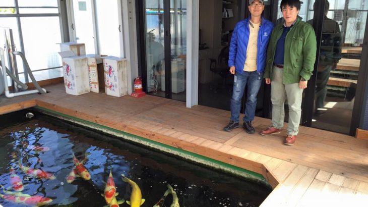 A sung Koi Farm visit.