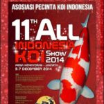 All Indonesia Koi show coming soon