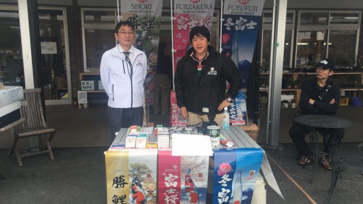 Kyoto young koi show visit