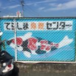 Terashima koi farm in Japan