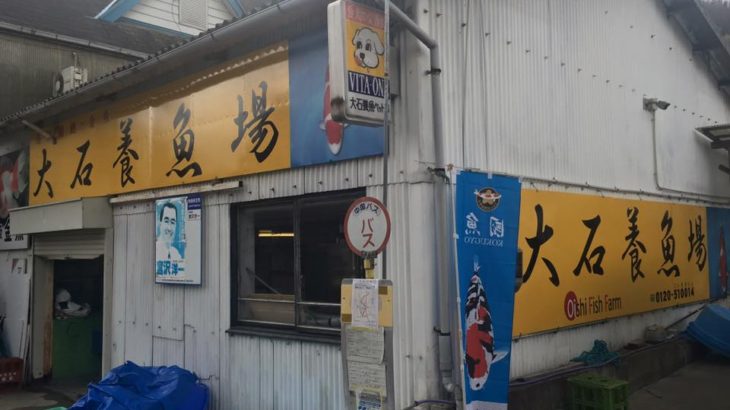 大石養鯉場 訪問