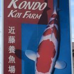 近藤養魚場 訪門