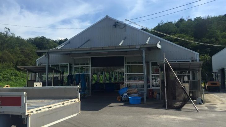 大日養鯉場 豊田店