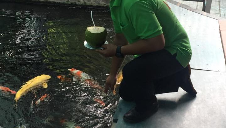 JPD Agent in Vietnam