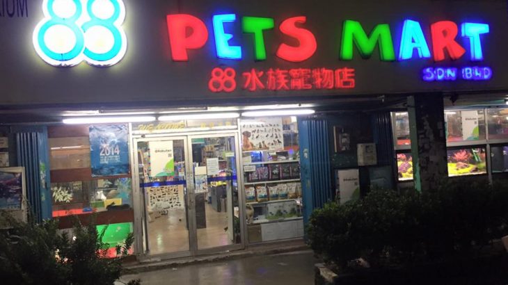 88 Pets Mart visit in Malaysia kL