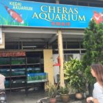 Cheras Aquarium visit.