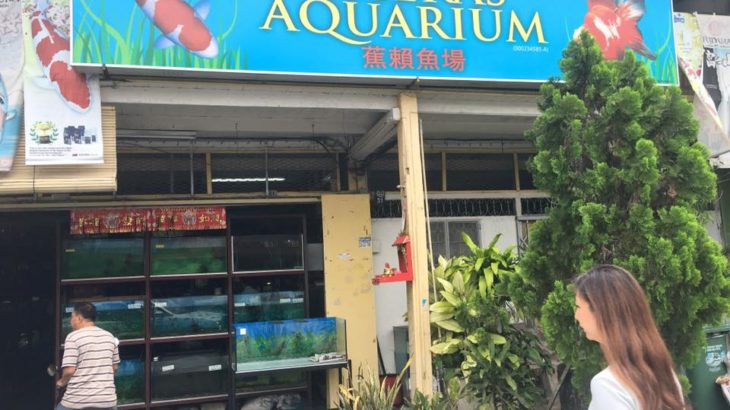 Cheras Aquarium visit.