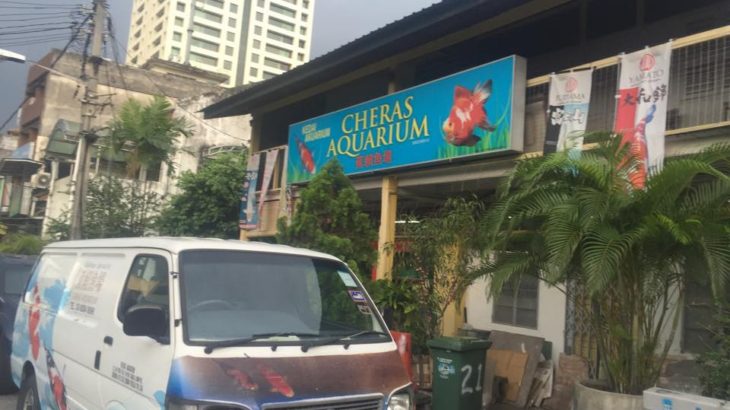 Cheras Aquarium visit