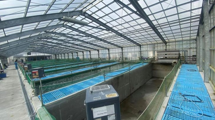 Momotaro Koi farm visit on 24 January 2020.