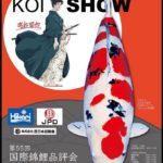 55th ZNA International Koi Show on November 9 2019.