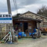 Ozumi Ikarashi Koi farm in Niigata.