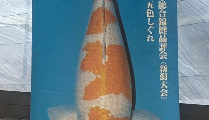 Hosokai Koi farm