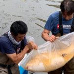 October 3.2019 Tedori Fish Land Harvest visit.