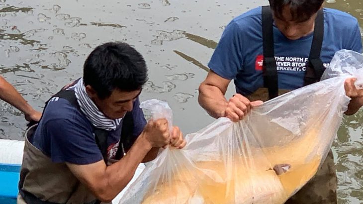 October 3.2019 Tedori Fish Land Harvest visit.