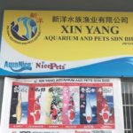 JPD Malaysia agent Xin Yang Aquarium visit for preparing ZNA koi show.