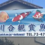 Kawai fish farm visit Aichi prefecture.