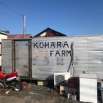 Kohara Koi Farm visit Fukui prefecture.