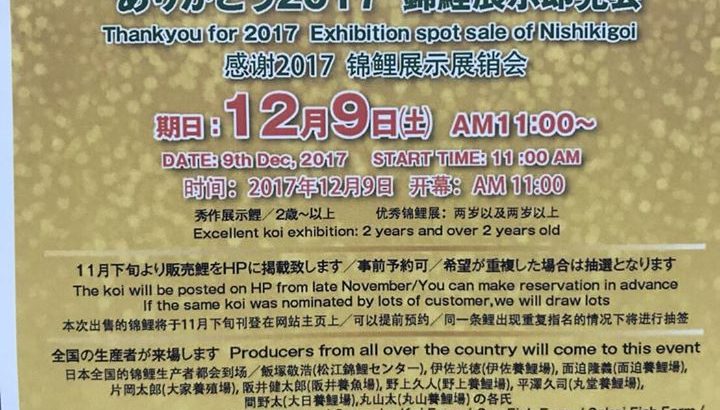 第45回関東甲信地区総合錦鯉品評会