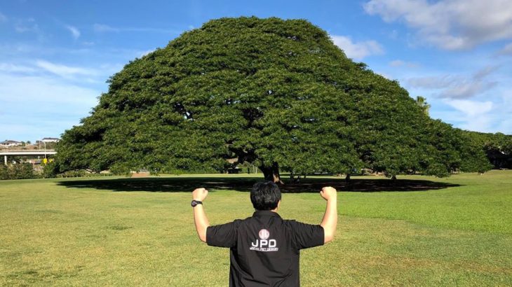 JPD Hawaii agent Mr.Perrin and me visit to Hitachi Tree spot.