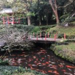 Byodo-in Temple visit this afternoon.