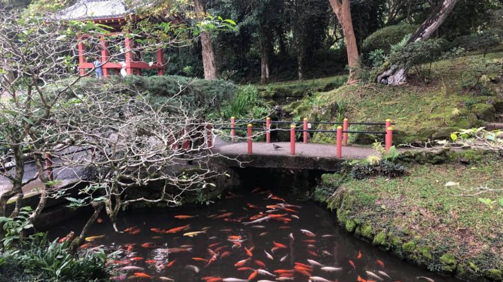 Byodo-in Temple visit this afternoon.