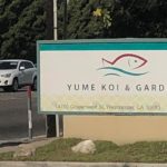 Yume Koi & Garden visit.