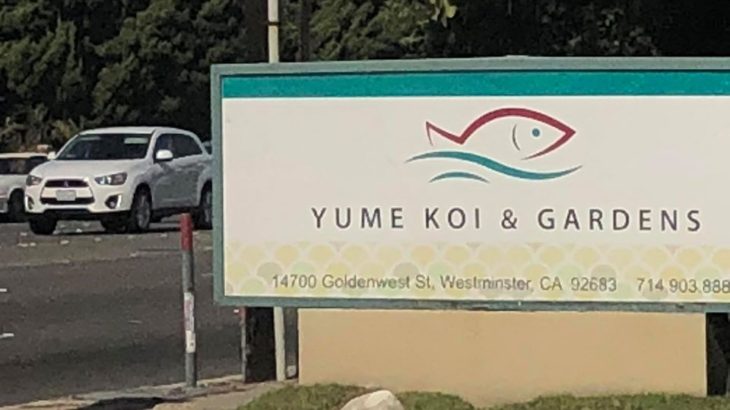 Yume Koi & Garden visit.