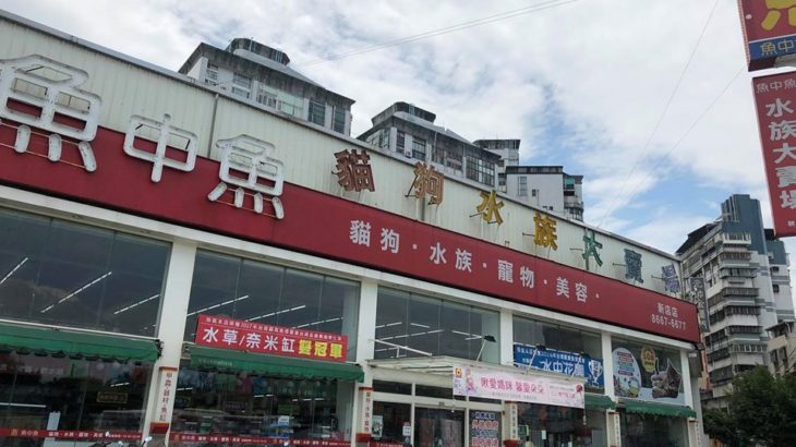 魚中魚 台北新店 Shop visit.