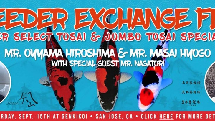 JPD authorized koi dealer in USA North California “ Genki Koi” will be have a special event on 15 September 2018. Very high end Gosanke Japanese breeder “Mr.Oyama”” Mr.Masai” will be attend at this event.