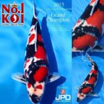 JPD Koi photo collection