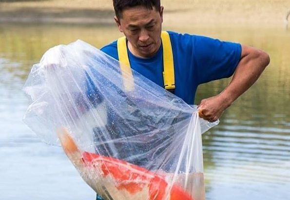 JPD Koi photo Collections