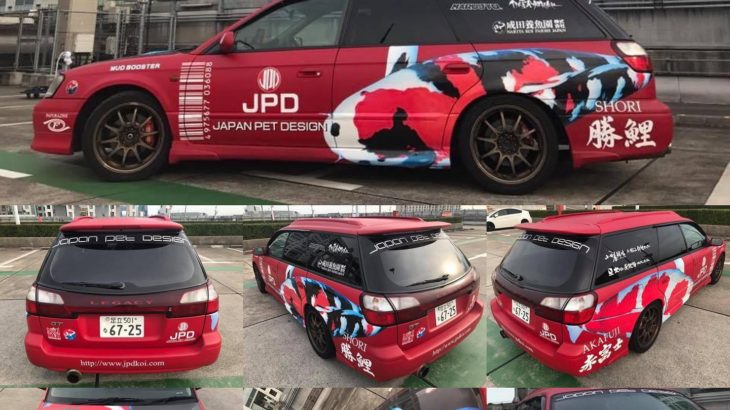 JPD Koi Mobil